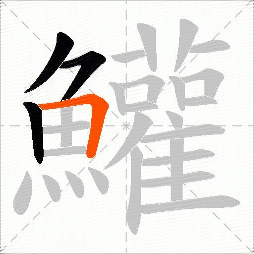 鱹