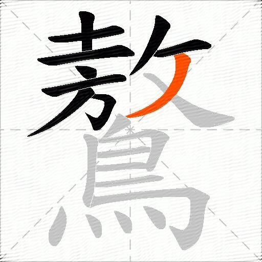 鷔