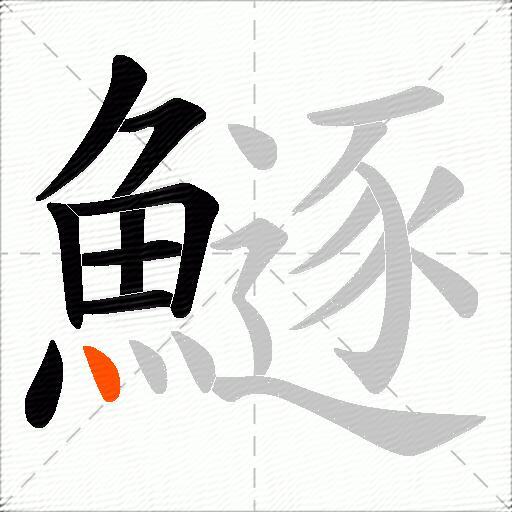 鱁