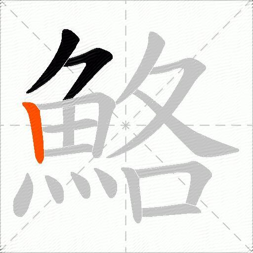 鮥