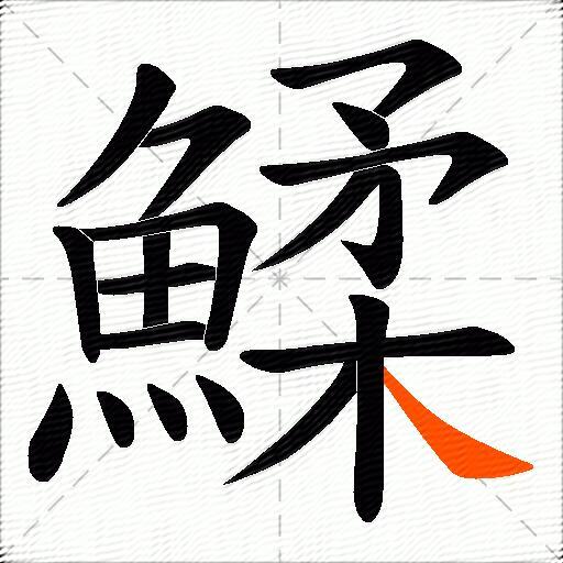 鰇