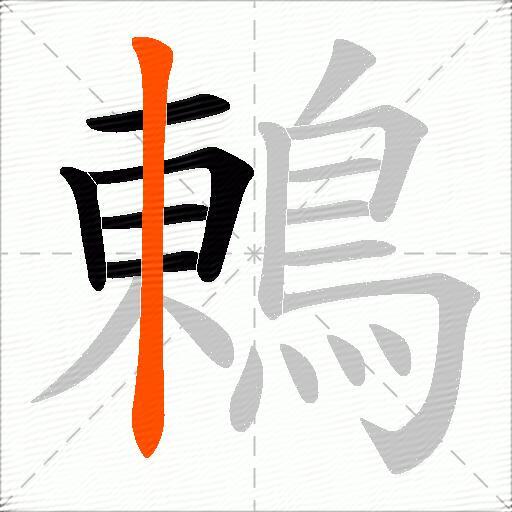 鶇