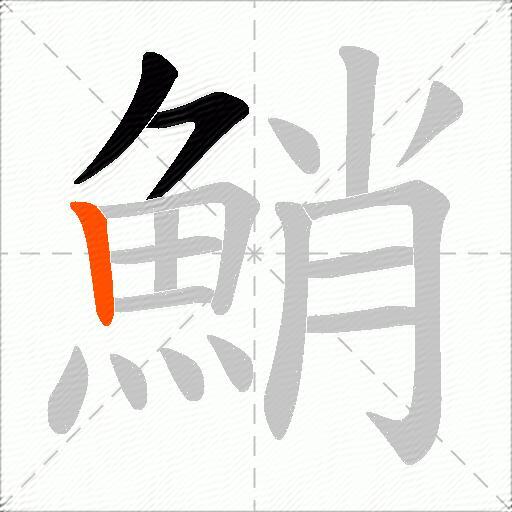 鮹