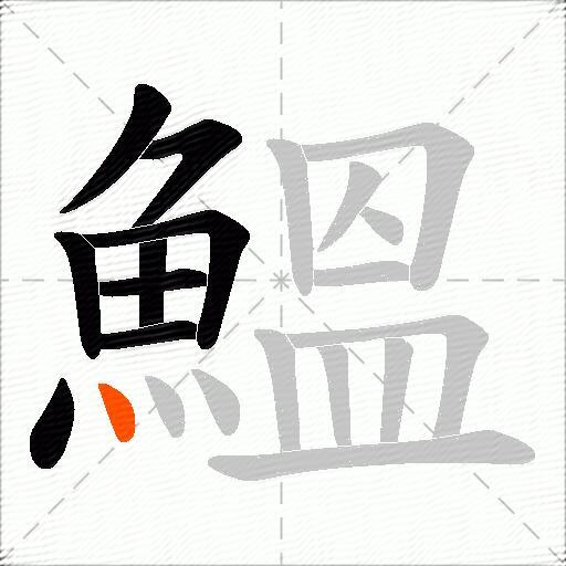 鰮