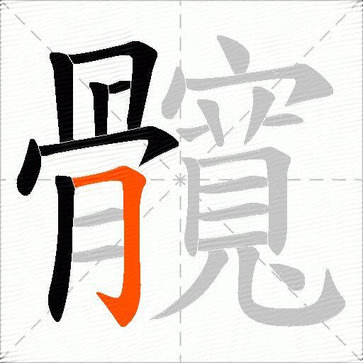 髖