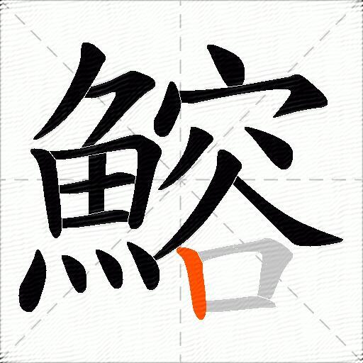 鰫