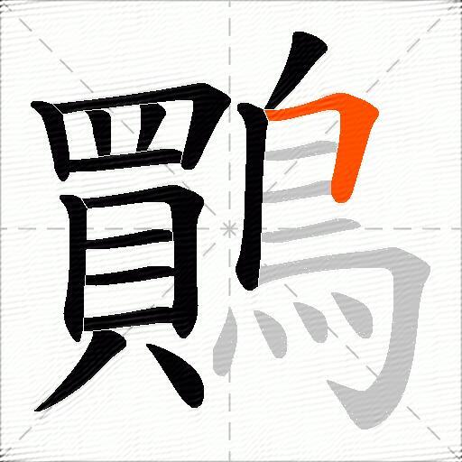 鷶