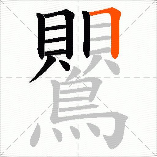 鸎