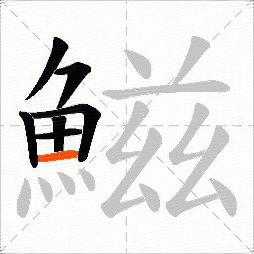 鰦