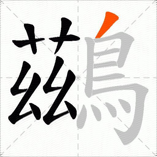 鷀