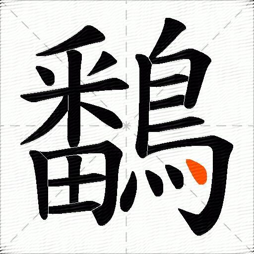 鷭
