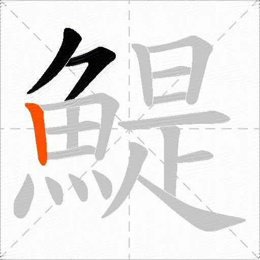 鯷