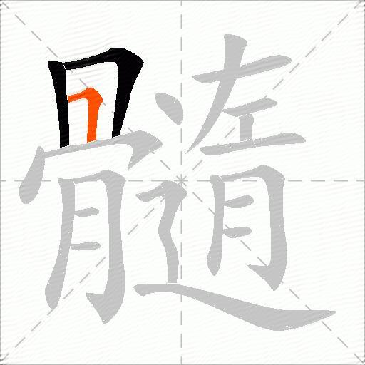 髓