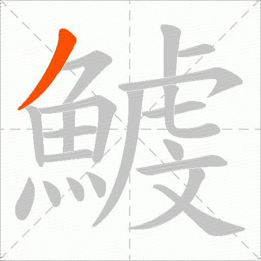 鰬