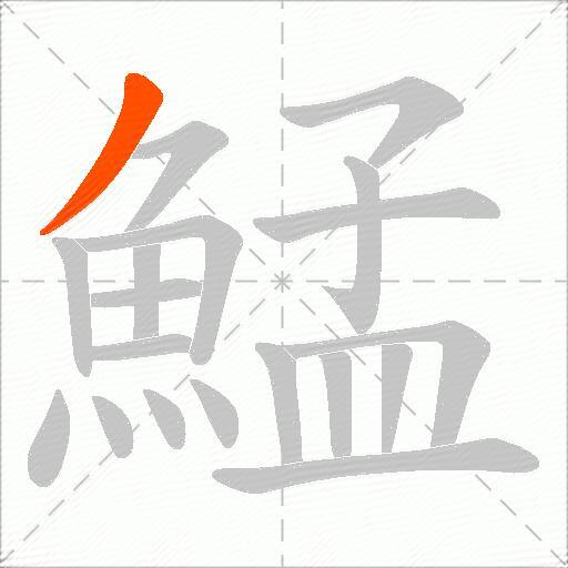 鯭
