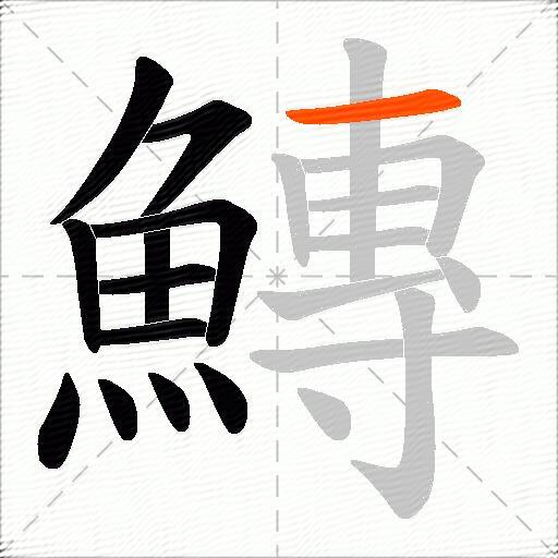 鱄