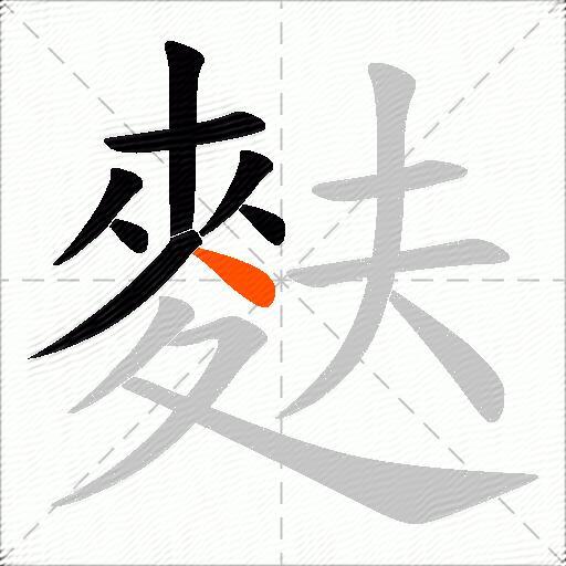 麩