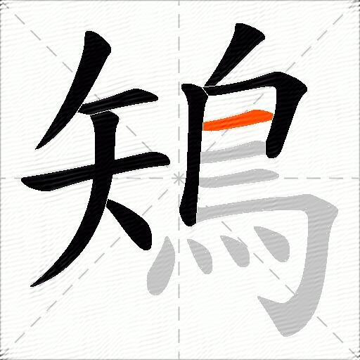 鴙