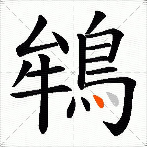 鴾