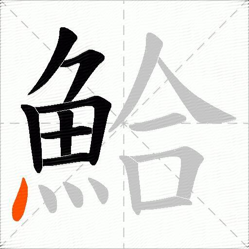 鮯