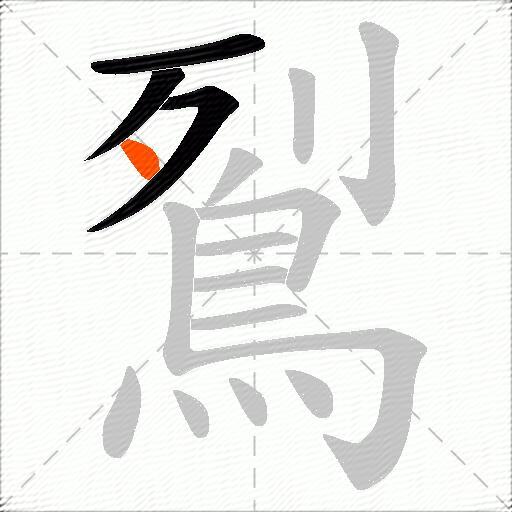 鴷