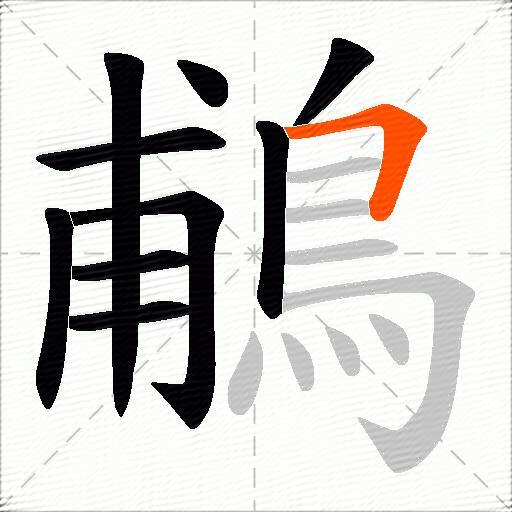 鵏