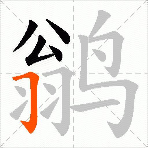 鹟