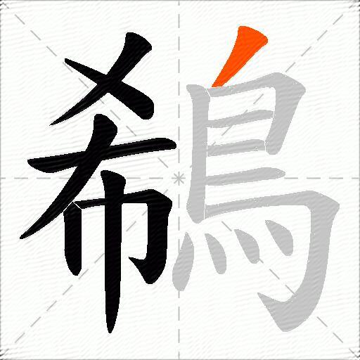 鵗