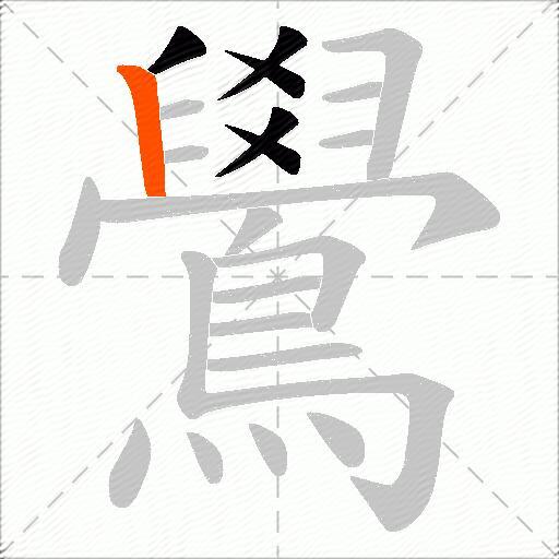 鷽