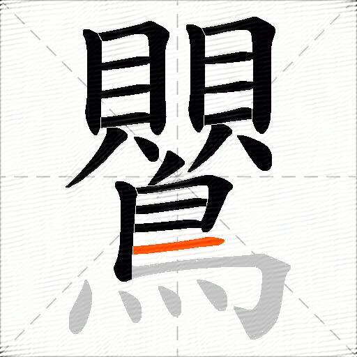 鸎