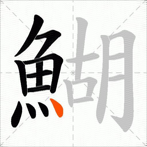 鰗