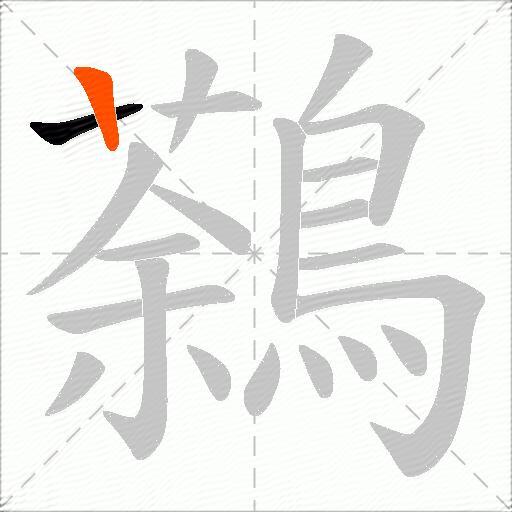 鷋