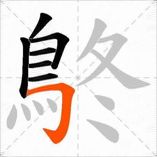 鴤