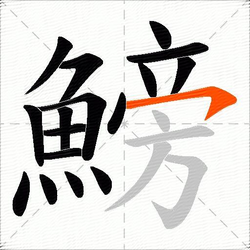 鰟