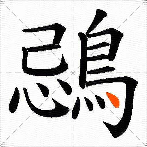 鵋