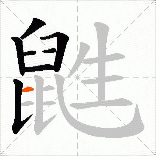 鼪