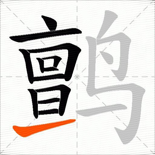 鹯