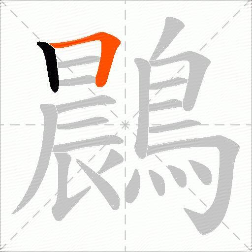 鷐