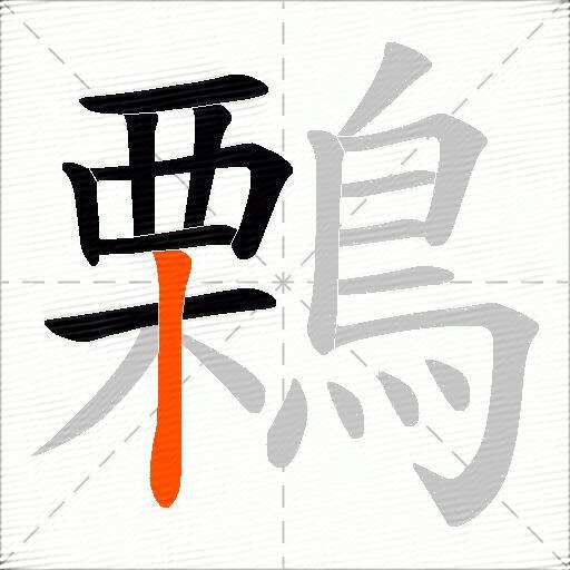 鷅