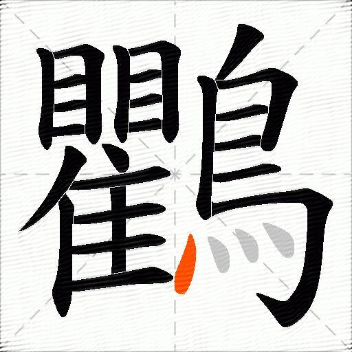 鸜