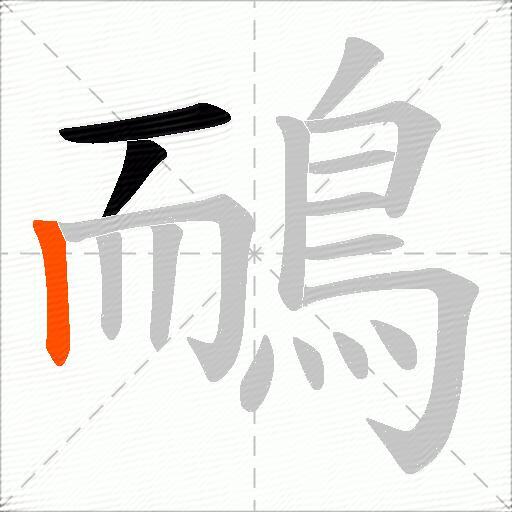 鴯