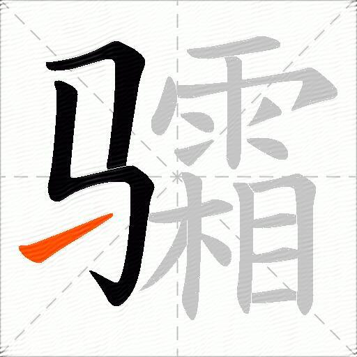 骦