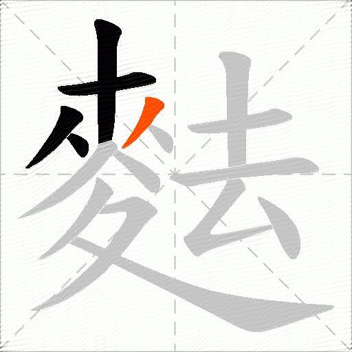 麮