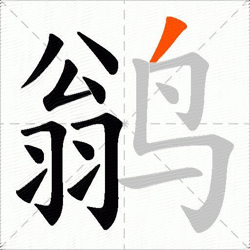 鹟