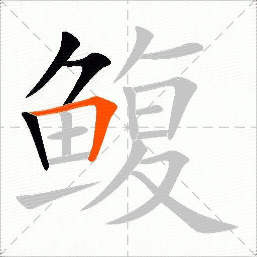 鳆