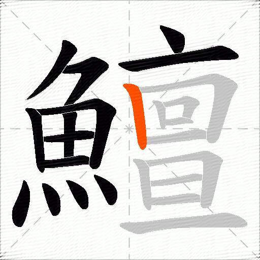 鱣