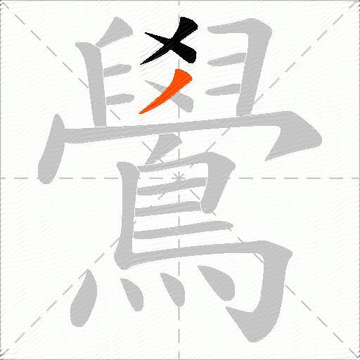 鷽