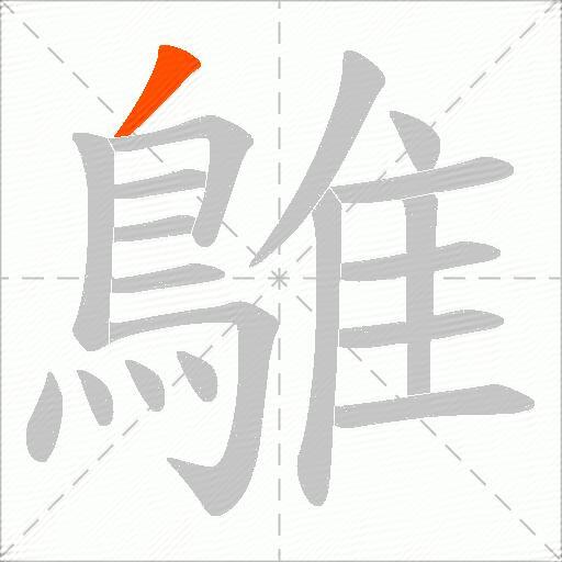 鵻