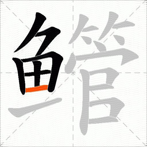 鳤