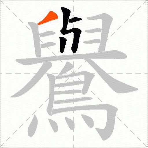 鸒